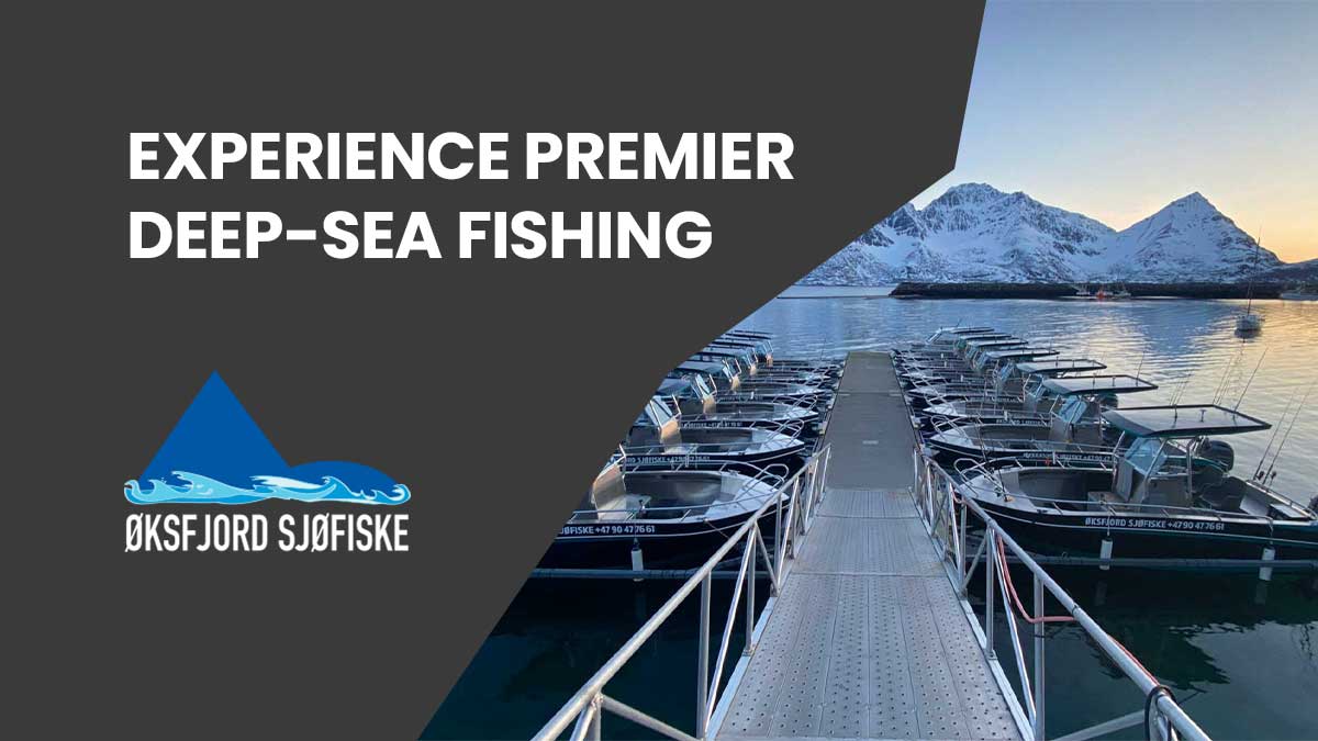 Øksfjord Sjøfiske | Deep-Sea Fishing at Norway